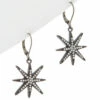 New 🔔 Rachel Reinhardt Plated Star Earrings 👩 Women 🔔