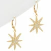 Promo ⌛ Rachel Reinhardt 14K Plated Star Earrings 👩 Women 😍
